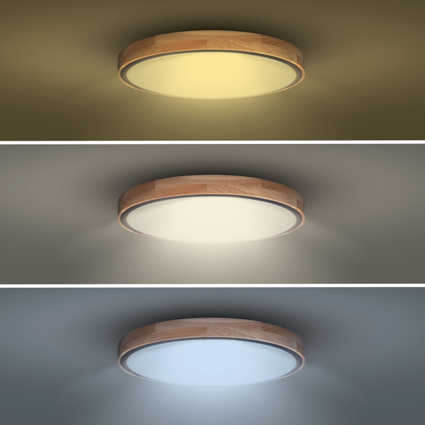 LED dæmpbar loftlampe IRON OAK LED/48W/230V 3000-6500K eg Ø 40 cm + fjernbetjening