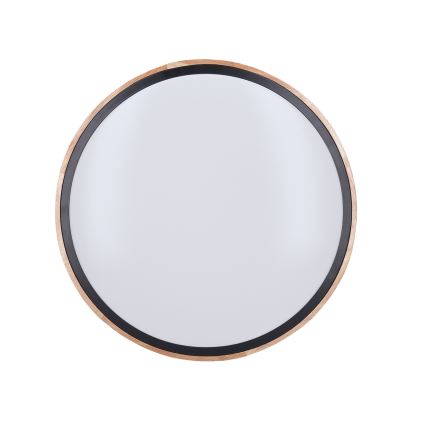 LED loftlampe dæmpbar IRON OAK LED/48W/230V 3000-6500K eg diameter 40 cm + fjernbetjening