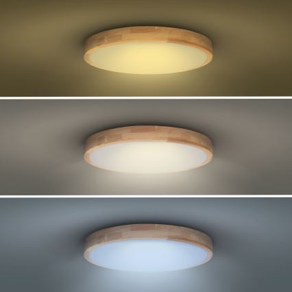 LED loftlampe dæmpbar SOLID OAK LED/60W/230V 3000-6500K eg diameter 51 cm + fjernbetjening