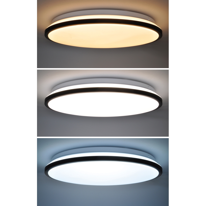 LED loftlampe dæmpbar JAMIL LED/48W/230V 3000-6500K sort + fjernbetjening