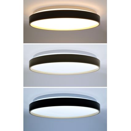 LED loftlampe dæmpbar CALA LED/48W/230V 3000-6500K sort/guldfarvet + fjernbetjening