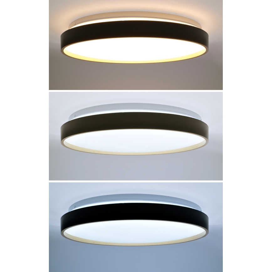 LED loftlampe dæmpbar CALA LED/48W/230V 3000-6500K sort/guldfarvet + fjernbetjening
