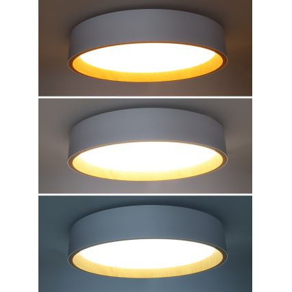 LED loftlampe dæmpbar LARIOS LED/48W/230V 3000-6500K diameter 39 cm hvid + fjernbetjening
