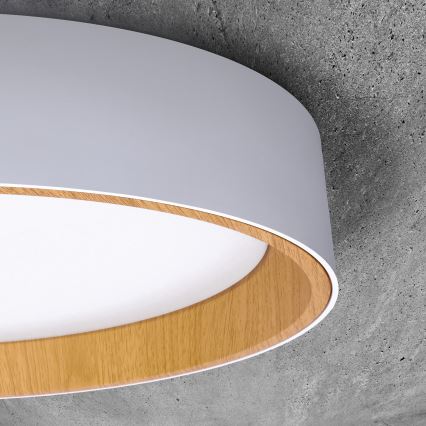LED loftlampe dæmpbar LARIOS LED/48W/230V 3000-6500K diameter 39 cm hvid + fjernbetjening