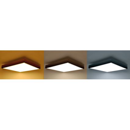 LED loftlampe dæmpbar LED/40W/230V 3000-6500K + fjernbetjening
