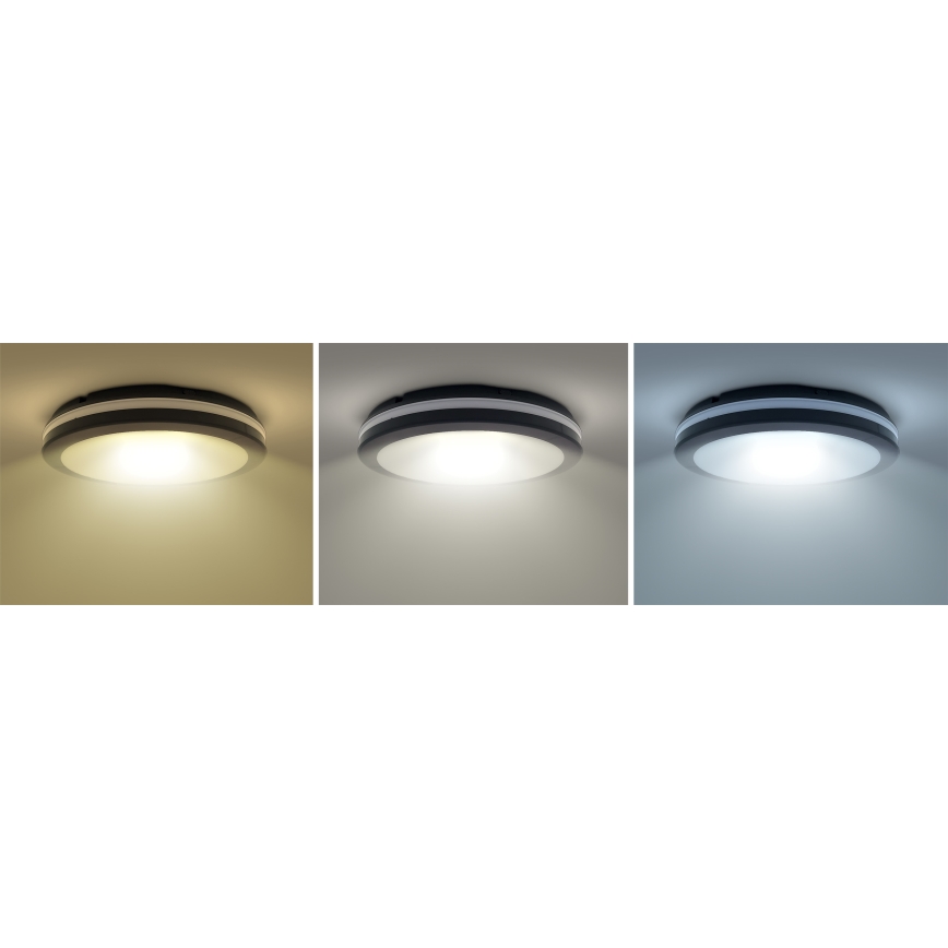 LED Dæmpbar udendørs loft lys LED/36W/40W/44W/230V 3000/4000/6500K IP65 sort