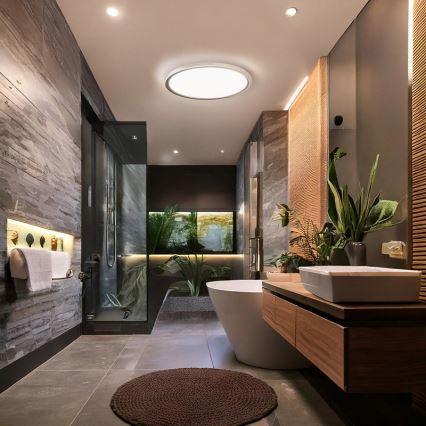 LED loftlampe til badeværelset ACATE LED/18W/230V 3000/4000/6000K Ø 22 cm IP54