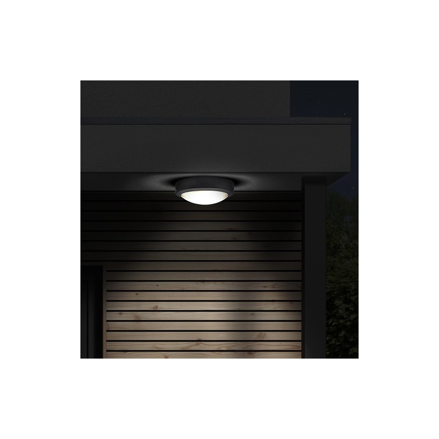 Udendørs LED loftlampe LED/13W/230V IP54 antracitgrå