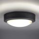 Udendørs LED loftlampe LED/13W/230V IP54 antracitgrå