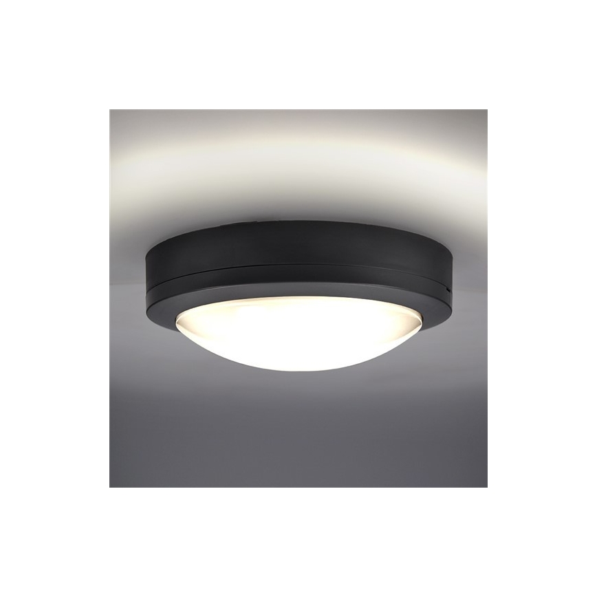 Udendørs LED loftlampe LED/13W/230V IP54 antracitgrå