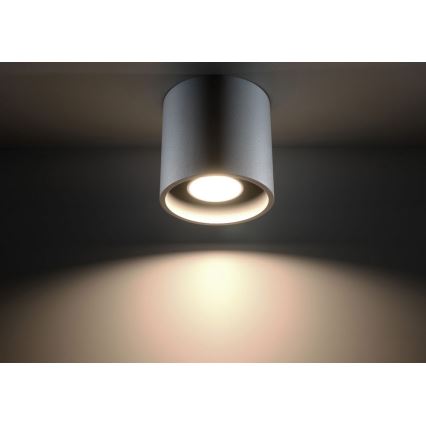 Spotlampe ORBIS 1 1xGU10/10W/230V grå