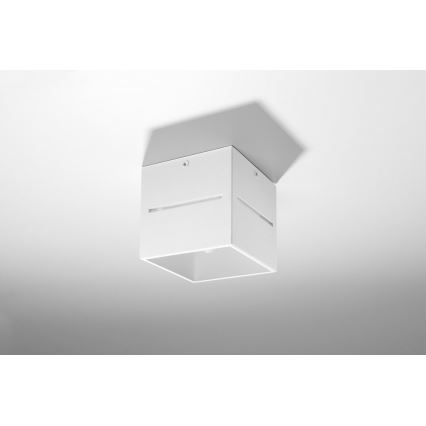 Sollux SL.0209 - Loftlampe LOBO 1xG9/40W/230V hvid