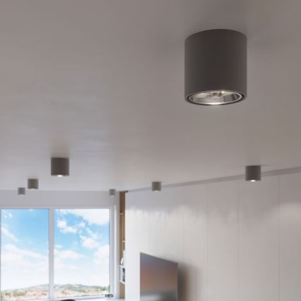 Spotlampe TIUBE 1xGU10-AR111/10W/230V