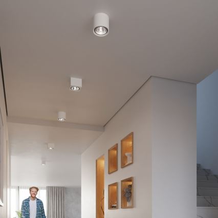 Spotlampe KALU 1xGU10/ES111/40W/230V