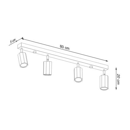 Spotlampe ZEKE 4xGU10/40W/230V eg