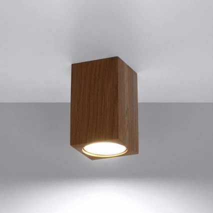 Spotlampe KEKE 1xGU10/40W/230V 10 cm eg