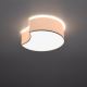 Loftlampe CIRCLE 2xE27/60W/230V hvid