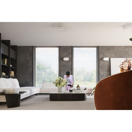 Loftlampe LAPPO 2xE27/15W/230V hvid