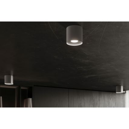 Spotlampe MIKA 1xGU10/10W/230V grå