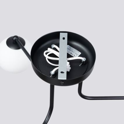 Pendellampe ASTRAL 3xG9/8W/230V sort