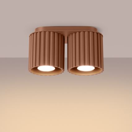 Spotlampe AURA 2xGU10/10W/230V brun