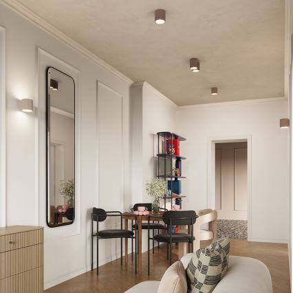 Spotlampe AURA 2xGU10/10W/230V taupe