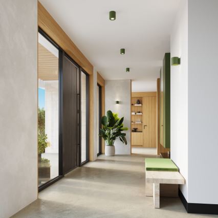 Spotlampe ORBIS 1xGU10/10W/230V beton/grøn