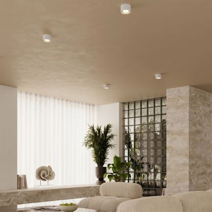 Spotlampe MODO 1xGX53/10W/230V hvid