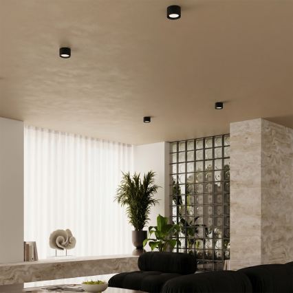 Spotlampe MODO 1xGX53/10W/230V sort