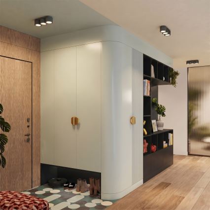 Loftspot AURA 3xGX53/10W/230V sort