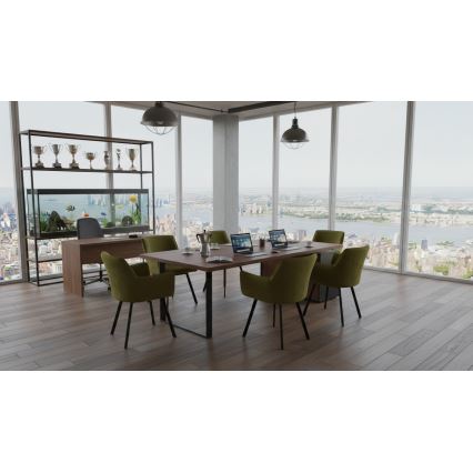 Spisebordsstol AMELIA grøn