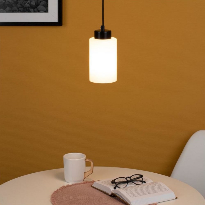 Pendel BOSCO 1xE27/60W/230V - FSC-certificeret