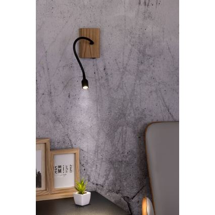 LED væglampe LECTOR LED/2,5W/230V eg