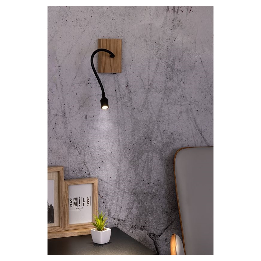 LED væglampe LECTOR LED/2,5W/230V eg