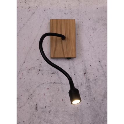 LED væglampe LECTOR LED/2,5W/230V eg