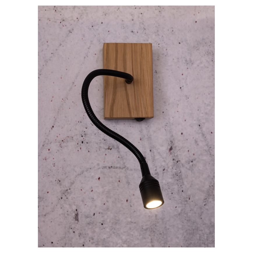 LED væglampe LECTOR LED/2,5W/230V eg