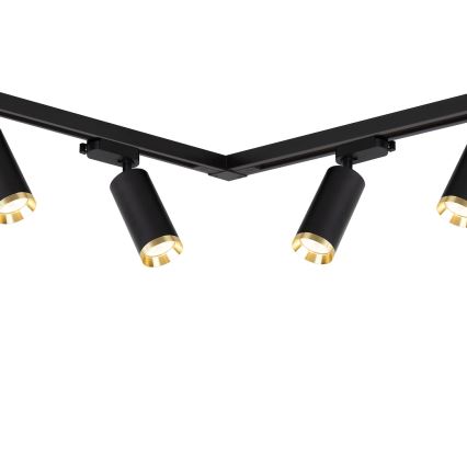 Spot til skinnesystemet MICA 6xGU10/10W/230V, sort/guld