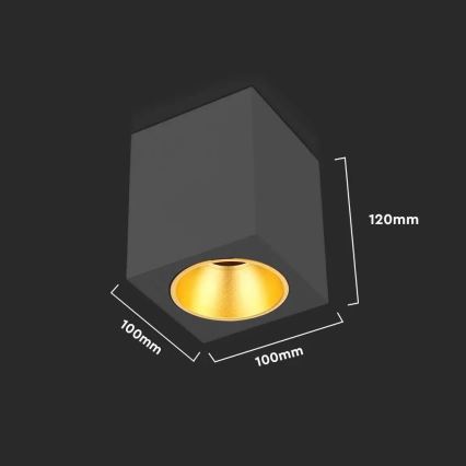 Spotlampe 1xGU10/35W/230V firkantet sort