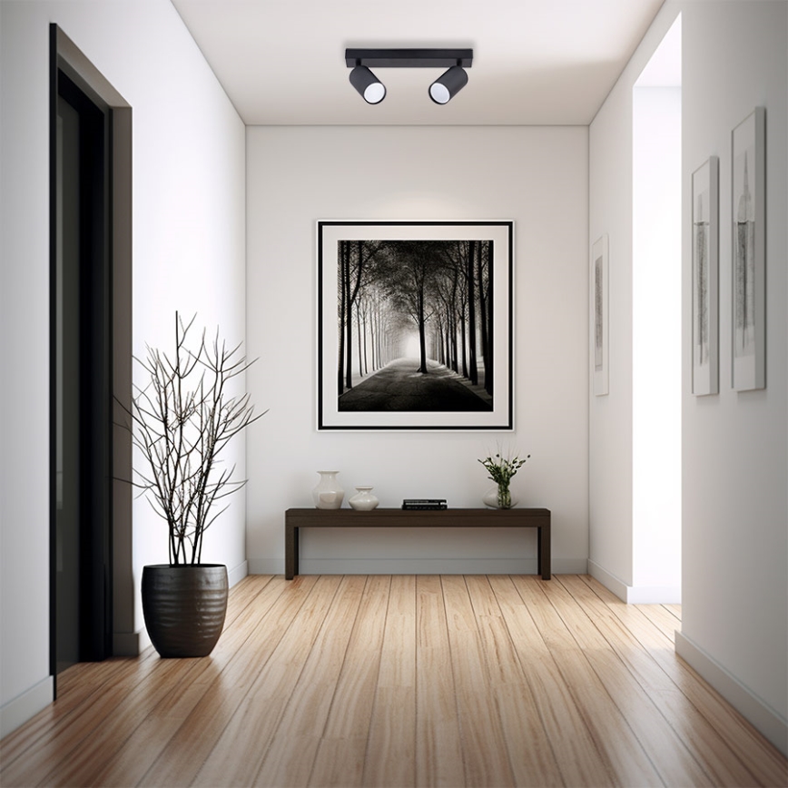 Spotlampe 2xGU10/35W/230V sort