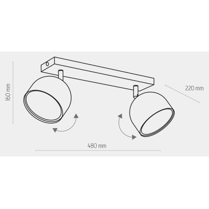 Spotlampe ALTEA 2xAR111 GU10/50W/230V hvid