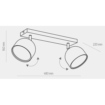 Spotlampe ALTEA 2xAR111 GU10/50W/230V sort