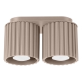 Spotlampe AURA 2xGU10/10W/230V taupe
