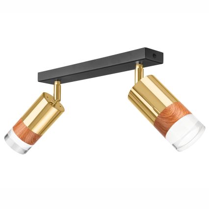 Spotlampe AURORA 2xGU10/10W/230V