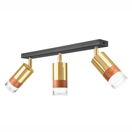Spotlampe AURORA 3xGU10/10W/230V