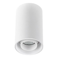 Spotlampe CHLOE 1xGU10/50W/230V hvid