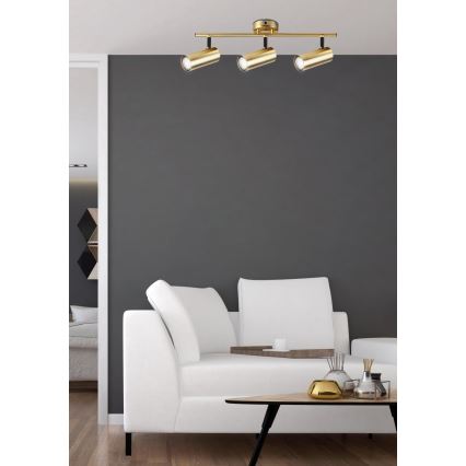 Spotlampe COLLY 3xGU10/15W/230V guldfarvet