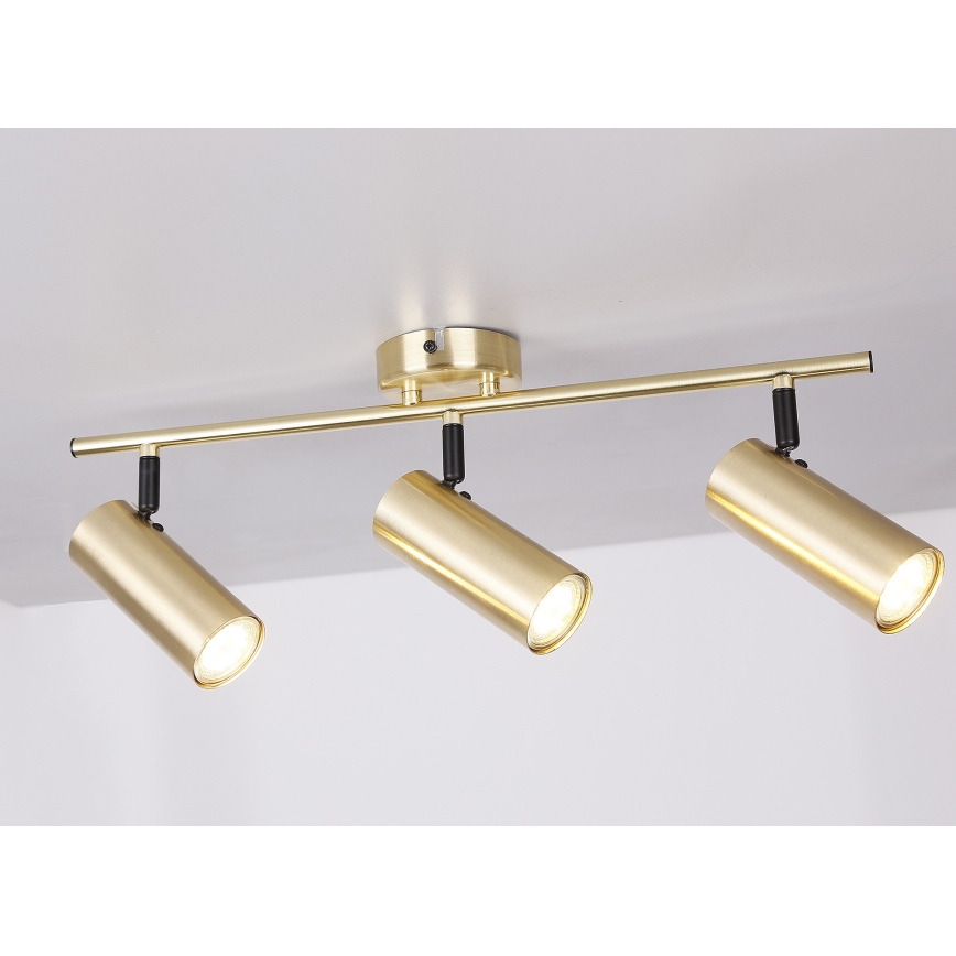 Spotlampe COLLY 3xGU10/15W/230V guldfarvet