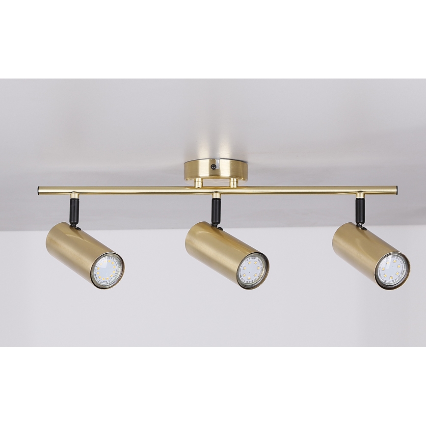 Spotlampe COLLY 3xGU10/15W/230V guldfarvet