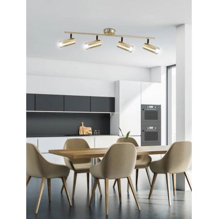 Spotlampe COLLY 4xGU10/15W/230V guldfarvet