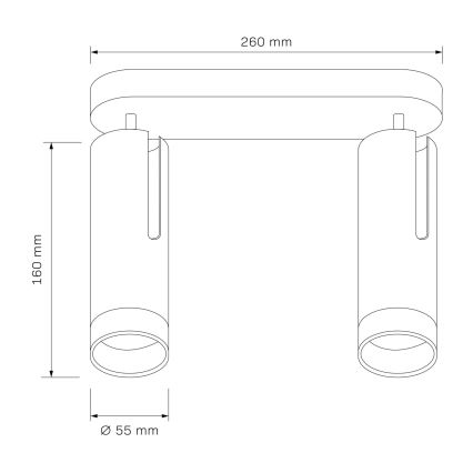 Spotlampe FADO 2xGU10/10W/230V sort
